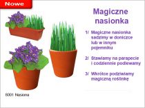 Nasiona